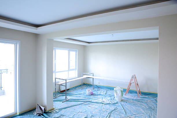 Best Drywall Texturing  in Kenyon, MN